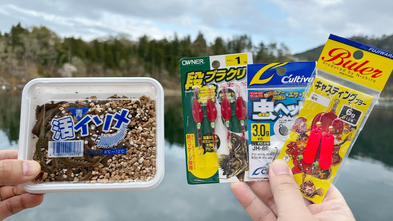【ライトエサゲーム】お手軽なエサ釣りで色々釣ってみよう！