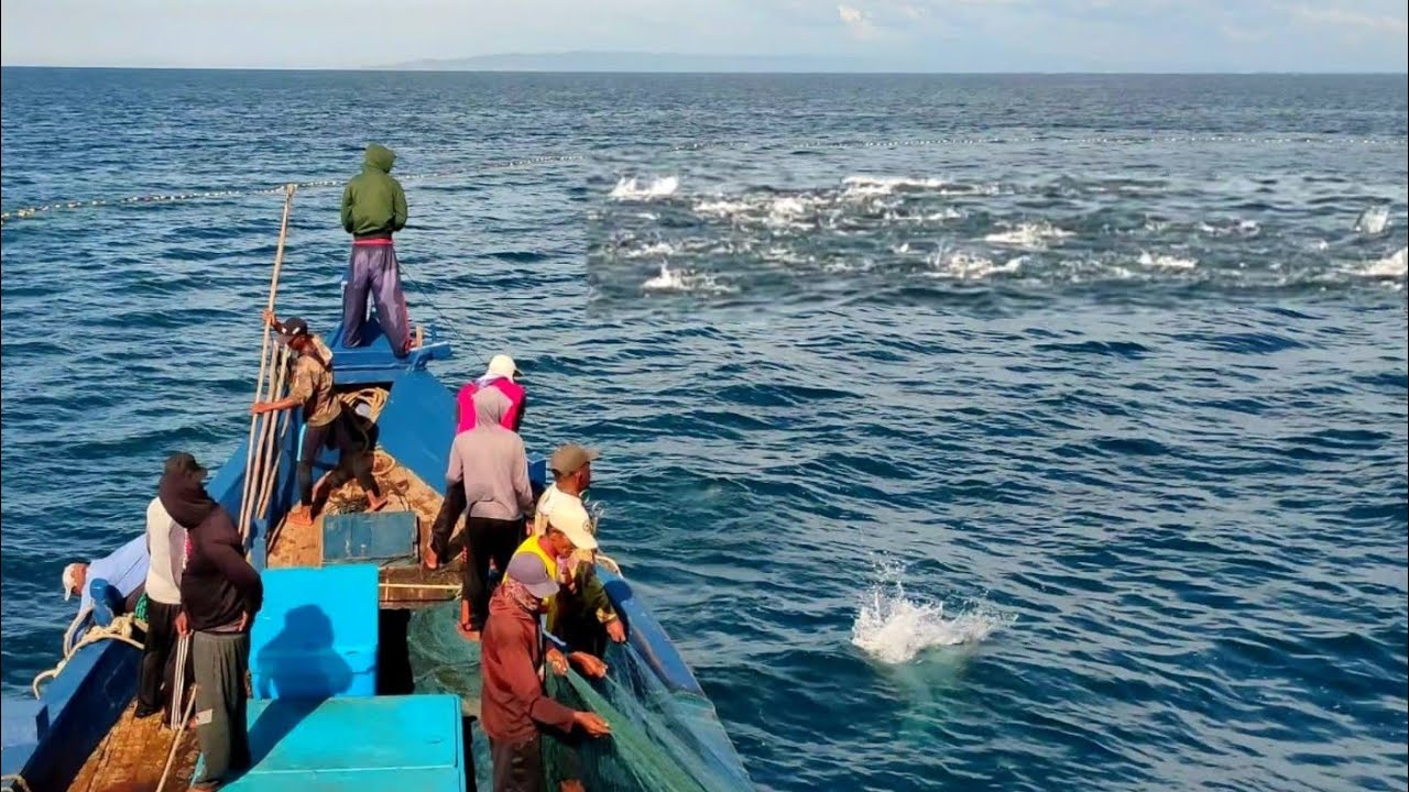 Pukat cincin, Nelayan Indonesia Dapat Banyak Ikan, luar biasa hasil tangkapan nelayan Indonesia