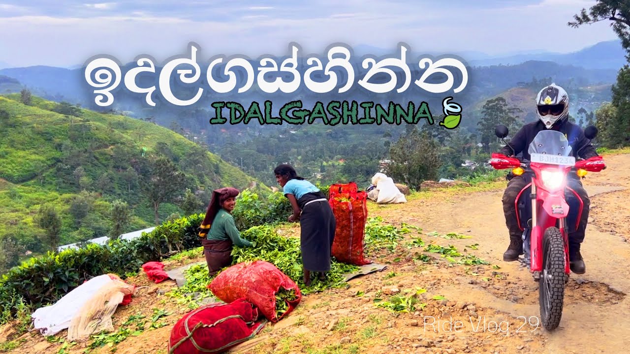 මෝටර්සයිකලයකින් ඉදල්ගස්හින්නට 🏔️🏍️🌿| IDALGASHINNA| SRI LANKA |Ft @DineshAPathum | Ridevlog 29|