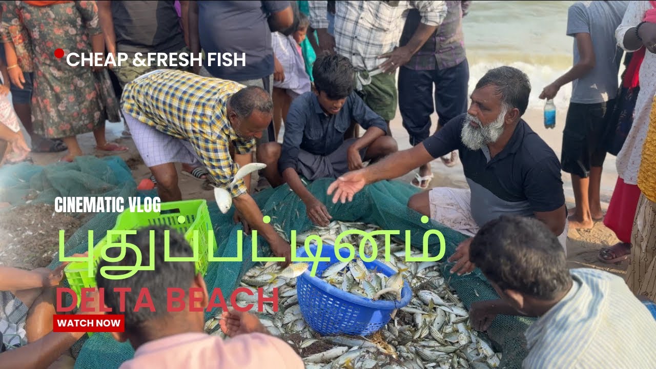 Fresh cheap Fish Pudhupattinam Beach /Delta Beach /Pattukkottai / Thanjavur