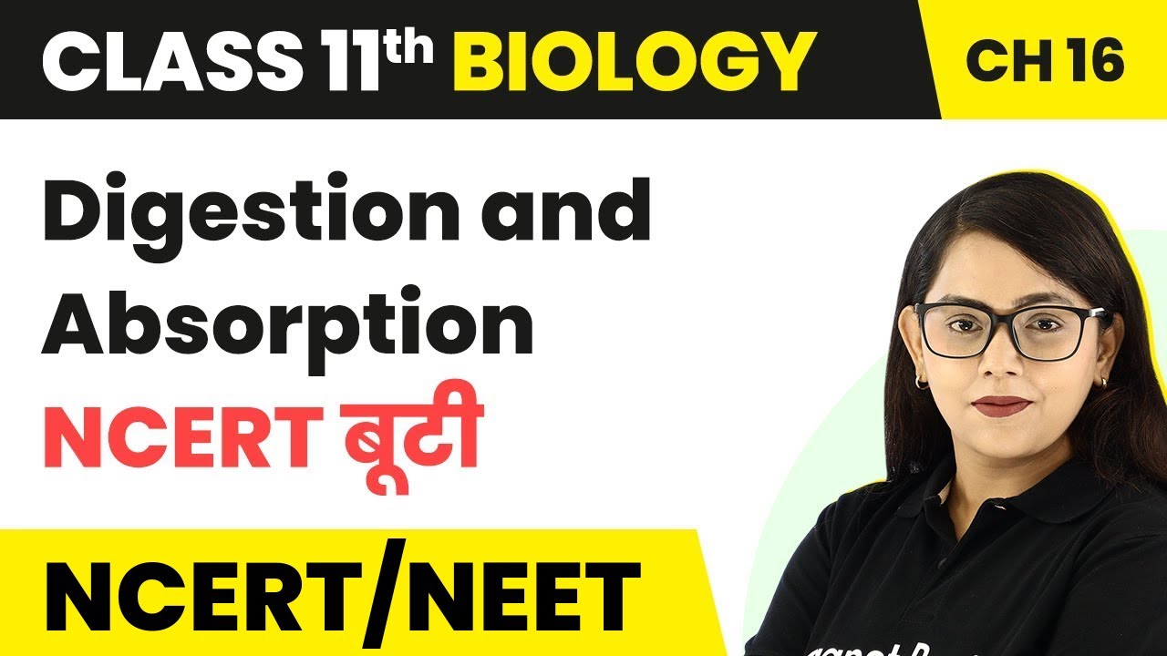 NCERT बूटी - Digestion and Absorption | Class 11 Biology