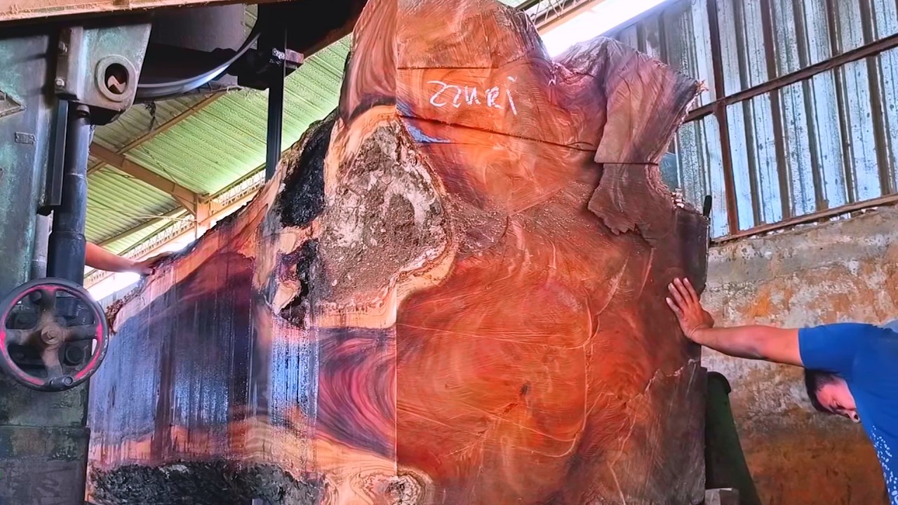 Wood Cutting Skills // Do You Think This Tree Is  1500 Years Old?