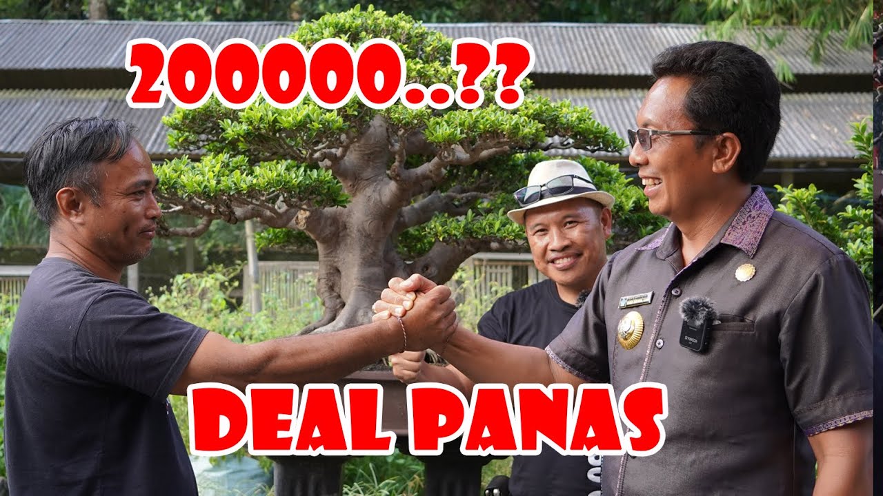 PERTEMUAN PANAS DUA KOLEKTOR
