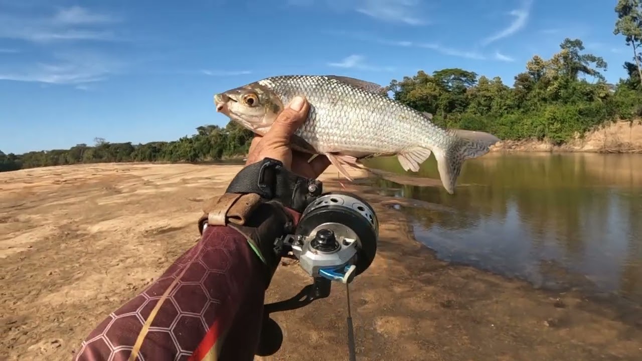 Pesca com estilingue só captura top