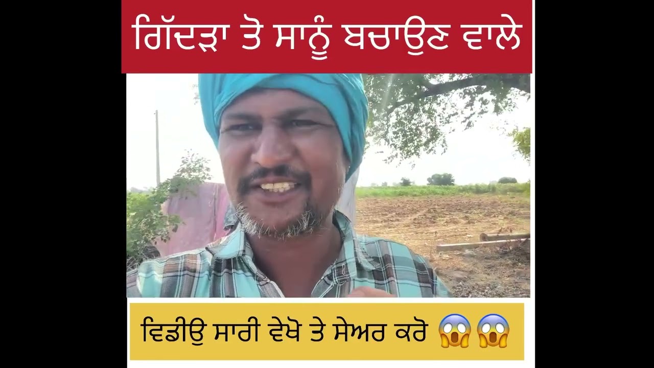 ਗਿੱਦੜ ਸਾਡੇ ਕੋਲ ਆ ਜਾਂਦੇ ਹਨ🙈🙈🙈#trending #punjabi #viralvideo 🤭🤭🤭🤭🤭