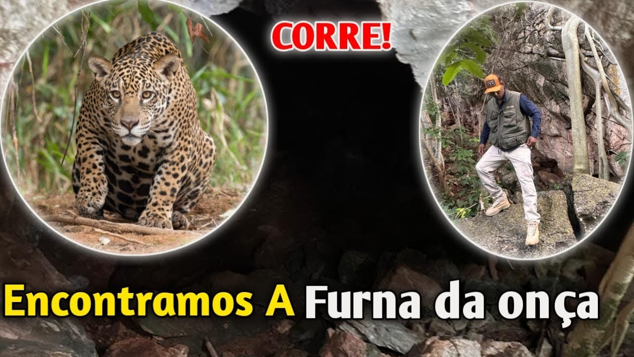 ENCONTRAMOS A FURNA DA ONÇA VEJAM 😱😱/ PARTE 1