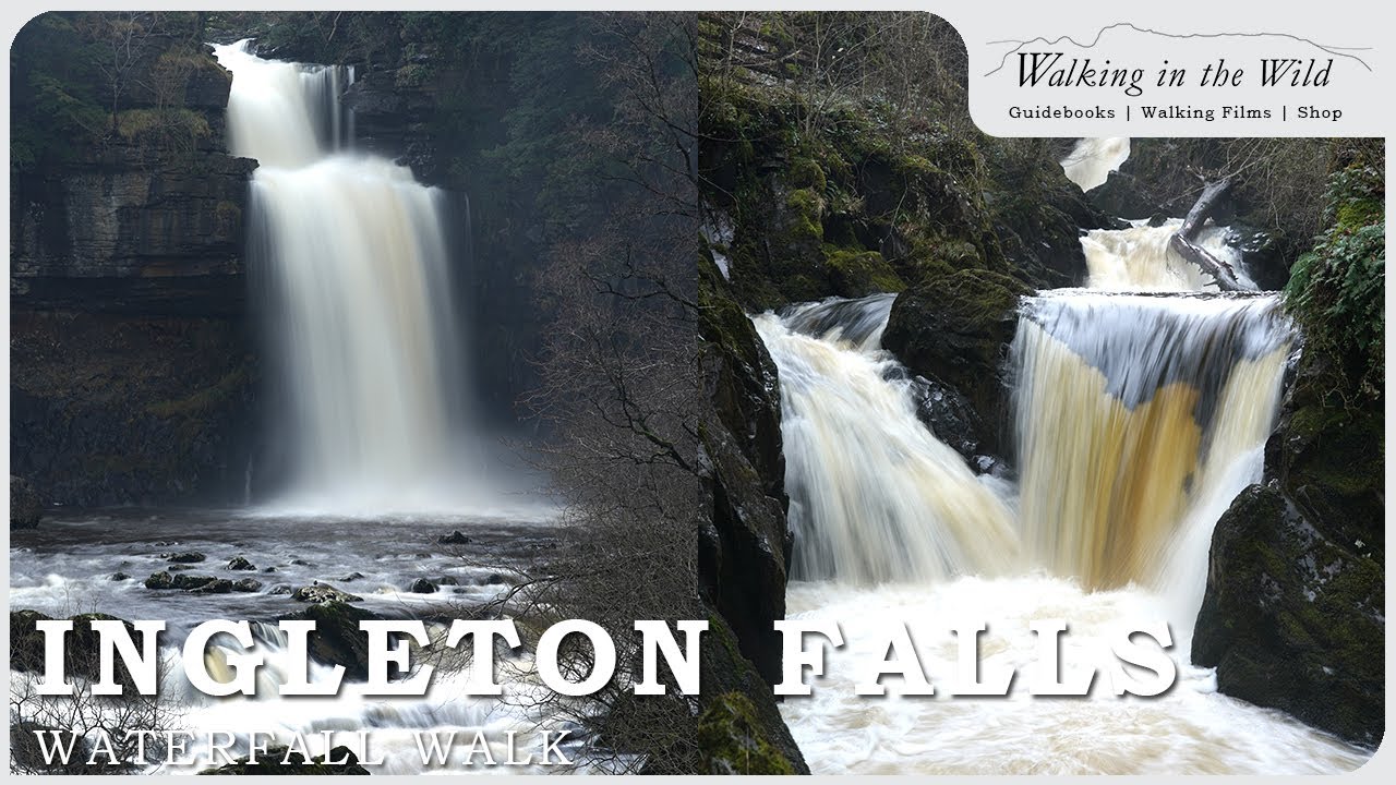 Yorkshire Dales Walks: Ingleton Falls Waterfall Walk