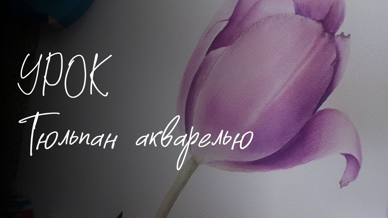 Акварель для начинающих. Тюльпан.