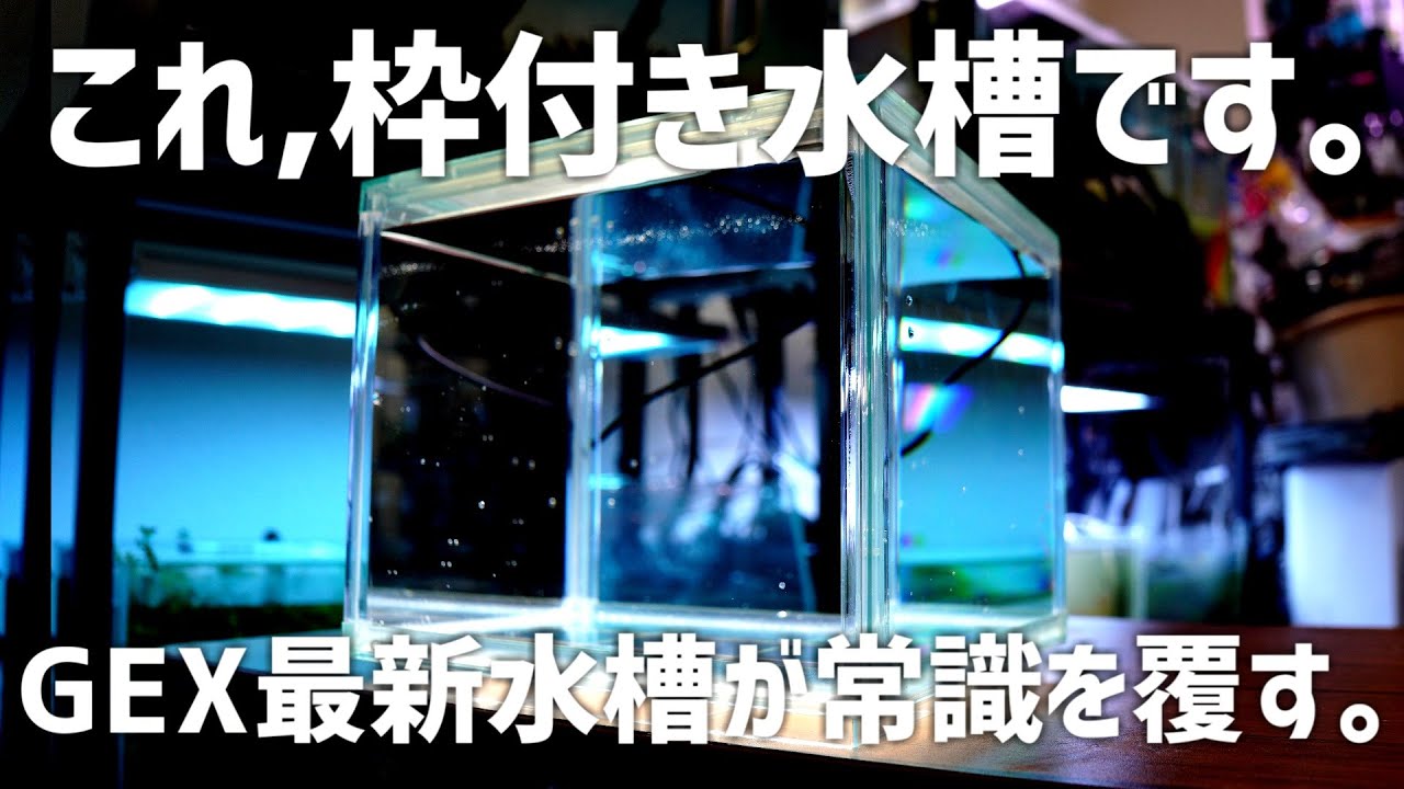【最速レビュー】フレーム水槽の問題点を消し去った次世代の枠付水槽。GEX最新水槽を徹底レビュー&最新ライトも検証!! 金魚元気ぶくぶくクリア FLATTY POWER150 #641【アクアリウム】
