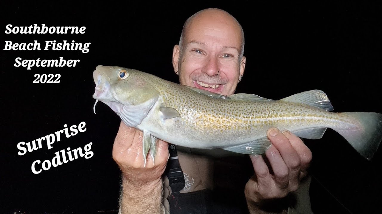 Southbourne Beach Fishing Dorset Fishing Cod Fishing Plaice Fishing Southcoast United Kingdom
