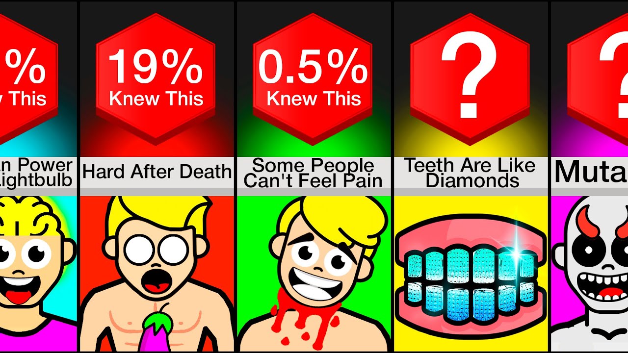 Comparison: I Bet You Didn't Know These Facts About Humans!