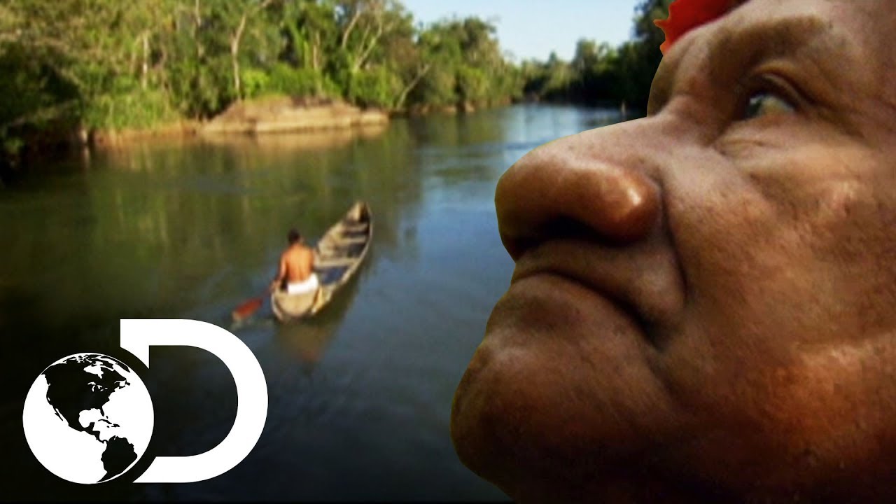 O ritual dos xamãs piaroa | América Latina Selvagem | Discovery Brasil