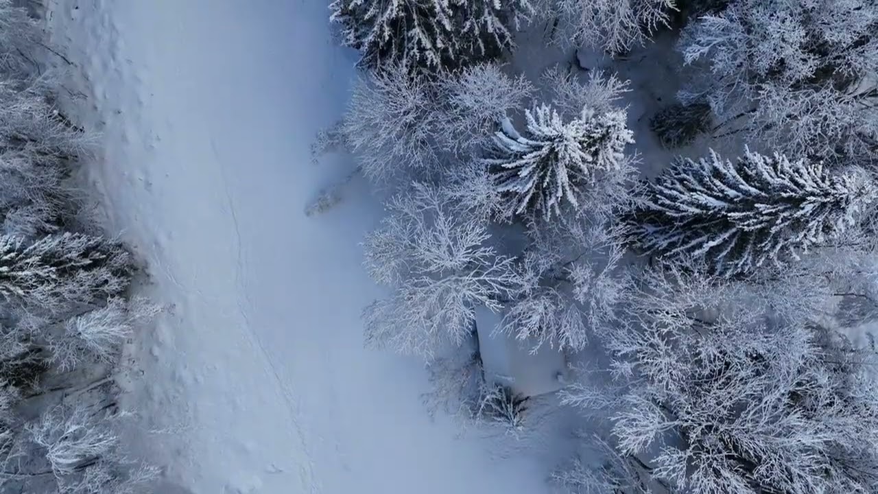 Chamonix - Les Houches - Les Bossons - 2025 - 4k Drone