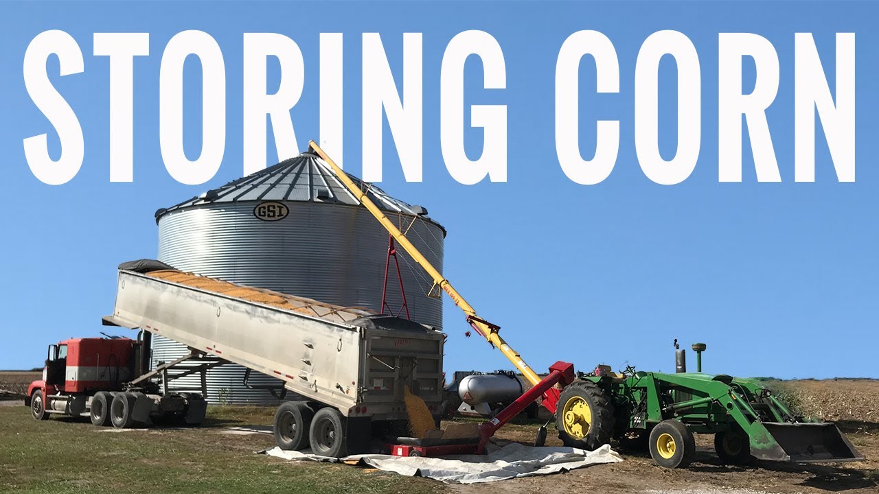 Storing Corn into Grain Bin - Dump Trailer