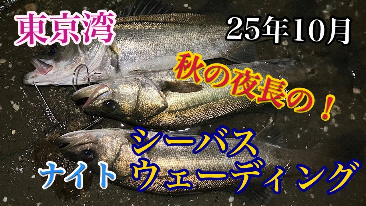 【25年10月】東京湾！秋のナイトシーバスウェーディング！