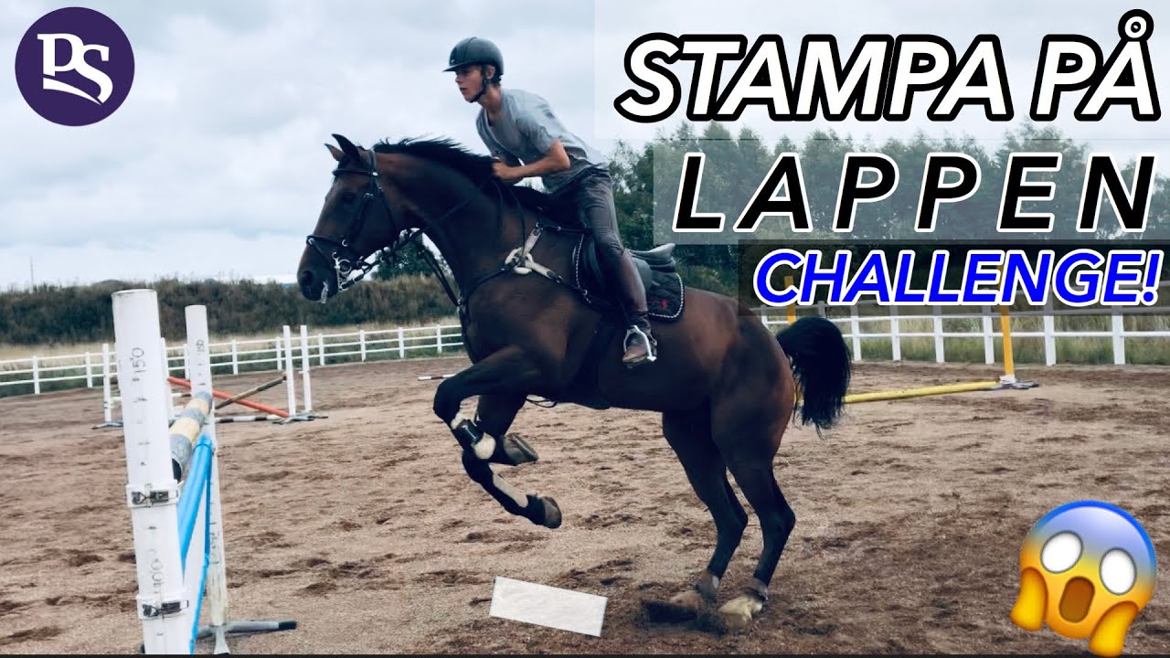 STAMPA P&Aring; LAPPEN CHALLENGE #8