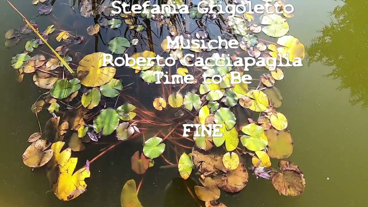 Villa Bozzolo 10/2025