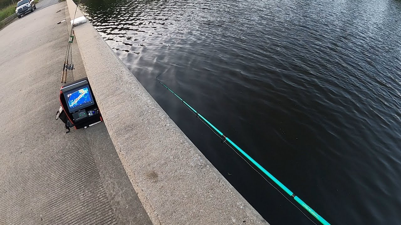Drive by fishing report
