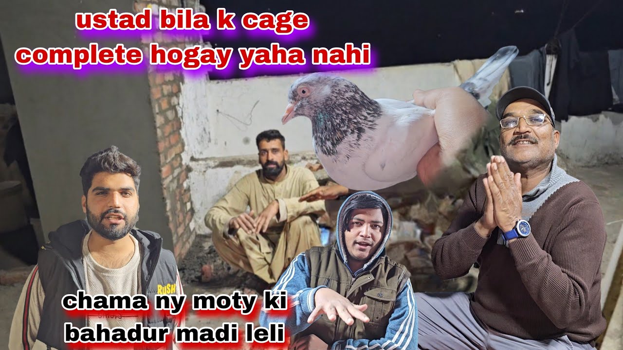 Chama ny moty ki bahadur madi leli😯cage complete hugay yaha nahi ustad bila ka pegam 