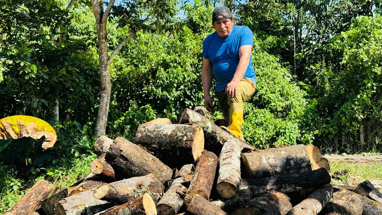 Un dia en el campo recolectando leña para hacer panela