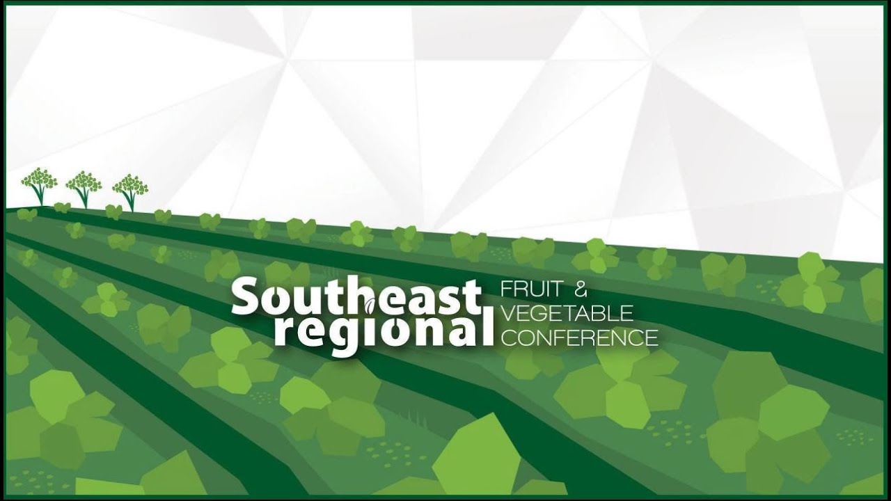 23 SE Regional – Peach – PLUM CURCULIO BIOLOGY AND MANAGEMENT Anne Nielsen
