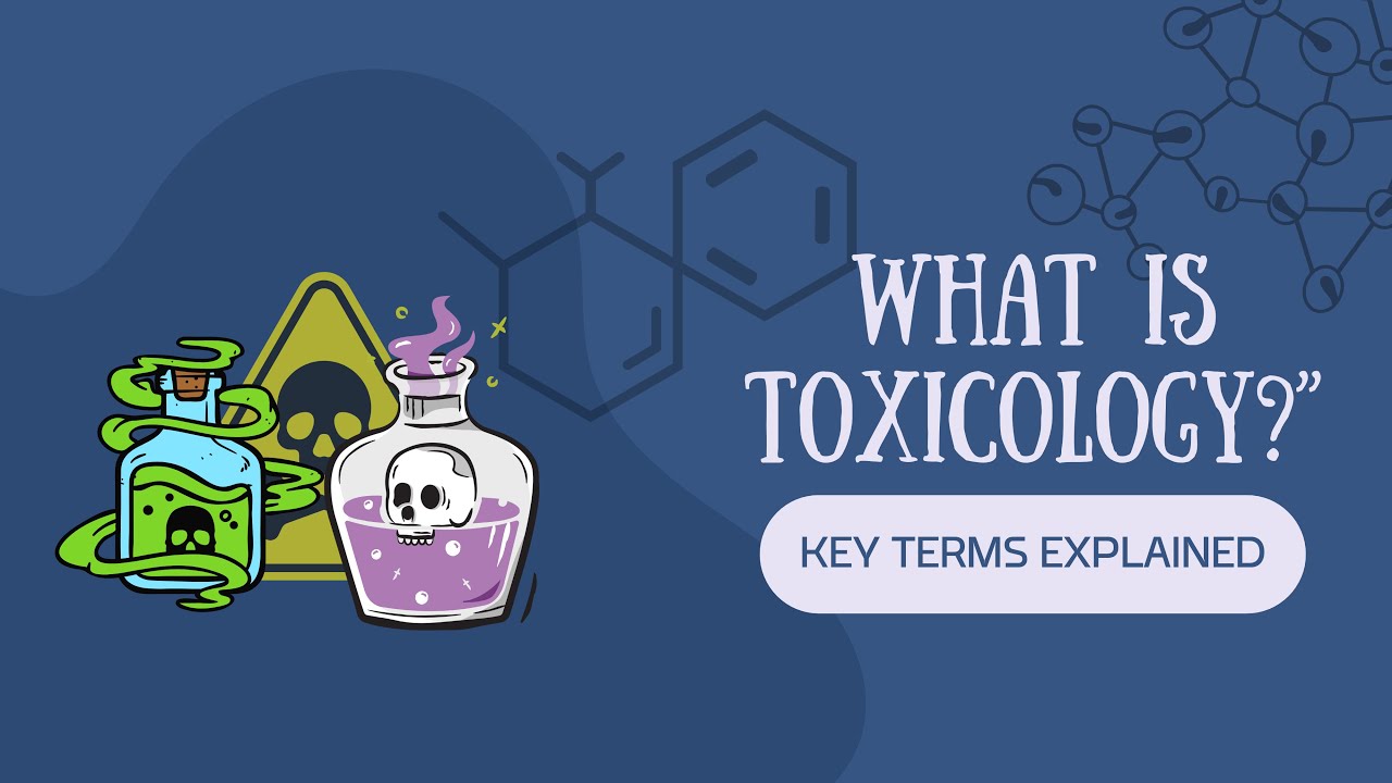 Toxicology Explained: Key Concepts & Easy Terminology