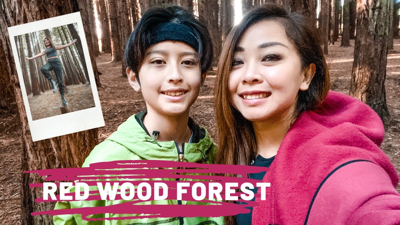 Post Lockdown 5.0 Road trip to Cement Creek “Red Wood Forest”🪵🌳