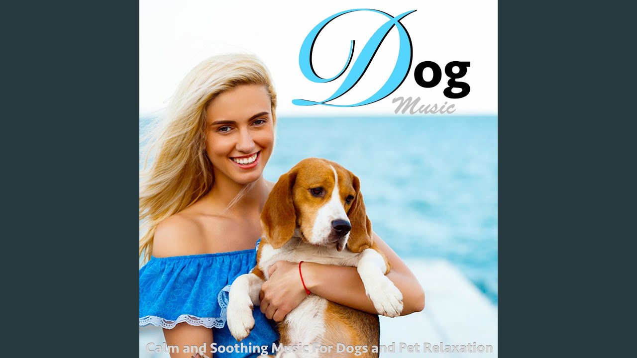 Music for Dogs While Away at Work