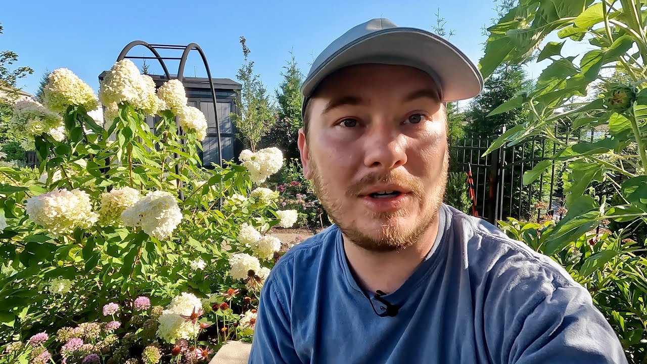 Shade Garden Suggestions (and a rampant love in a puff vine) | The Southerner's Northern Garden