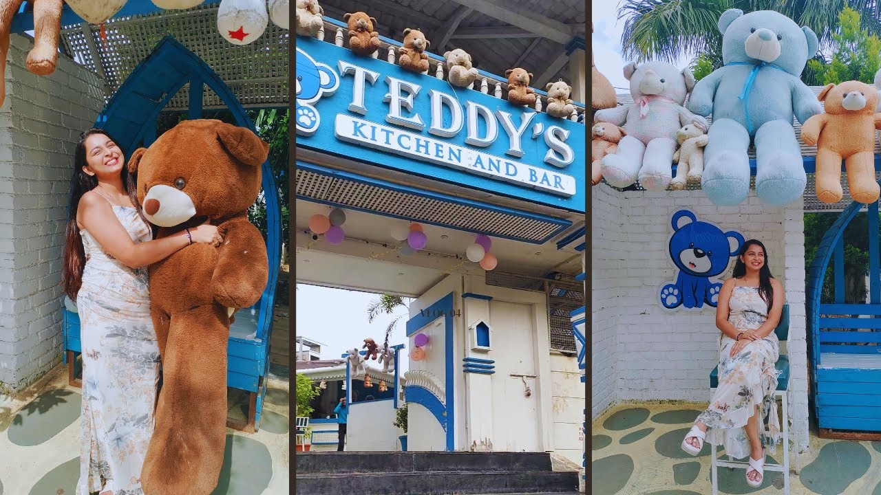 Teddy Theme Restaurant in Pune | Teddy's Kitchen and Bar