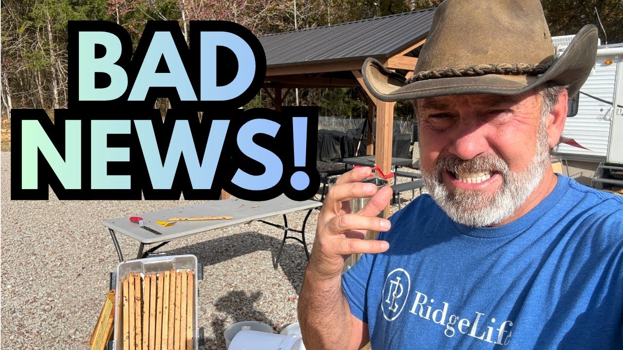 BAD NEWS! | Should We Get Married NOW? | Rambling