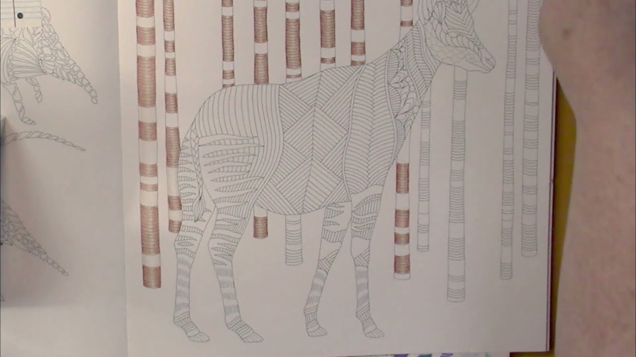 Раскрась и общайся Милли Маротта (Раскраска для взрослых)