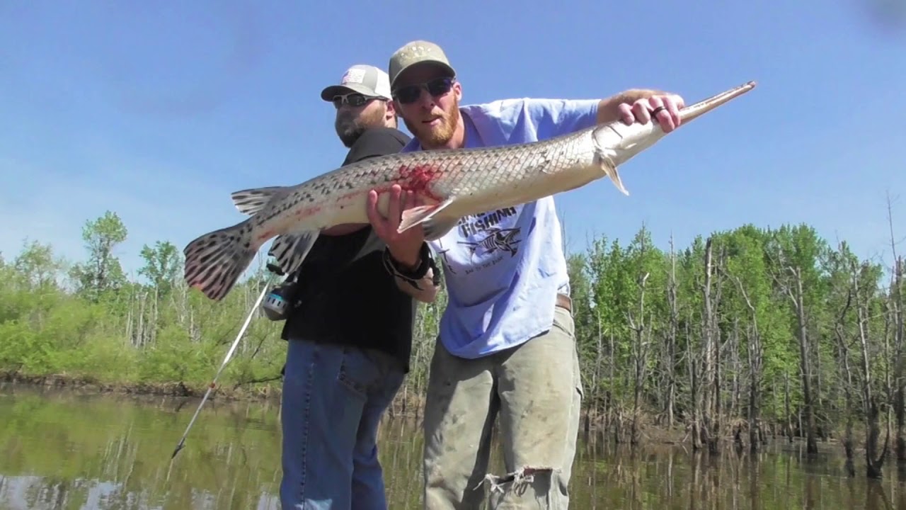 Slingbow fishing