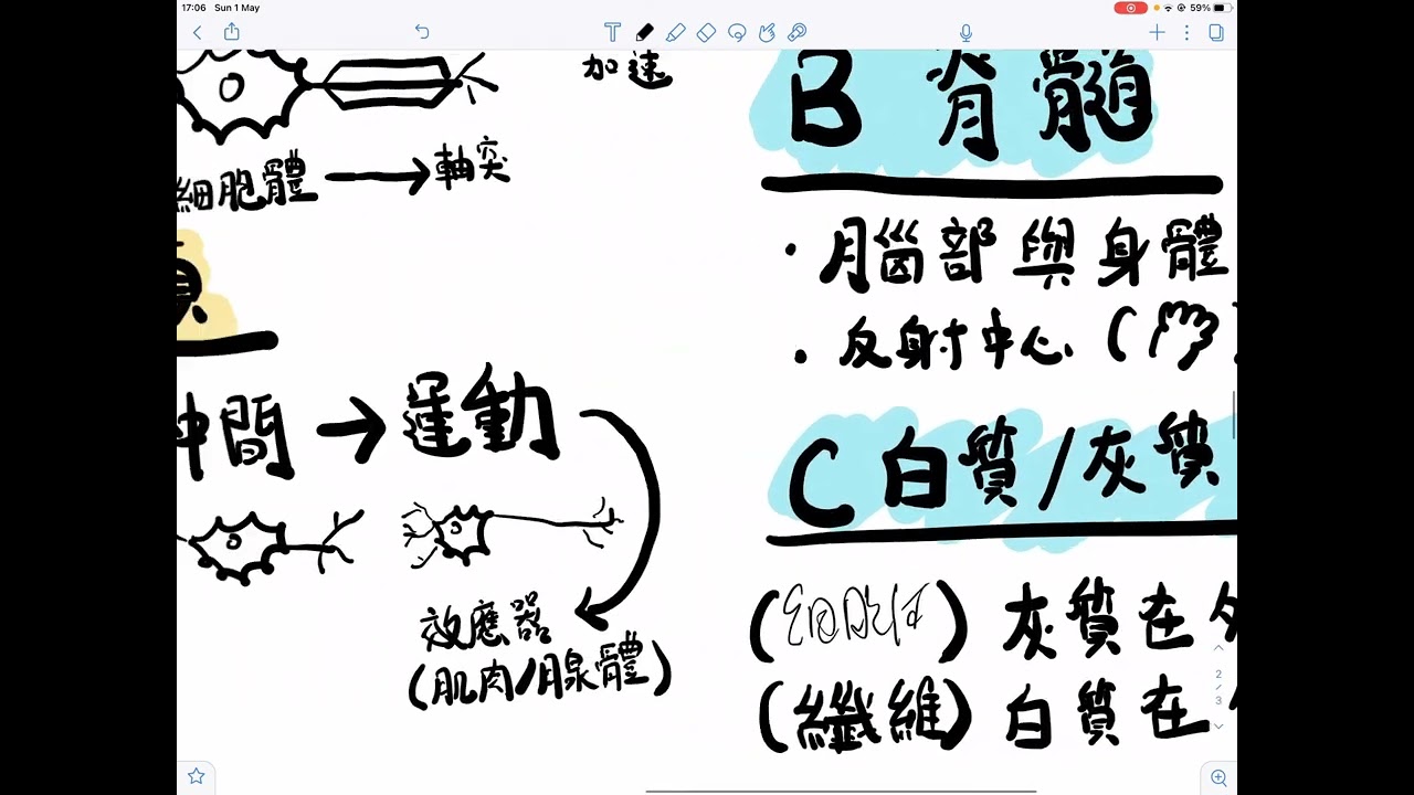 [DSE BIO 生物科]一圖溫一課系列－16神經 （繁中字幕）