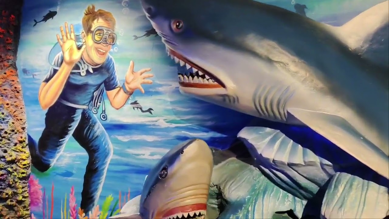 Aquarium Paradise vlog 2