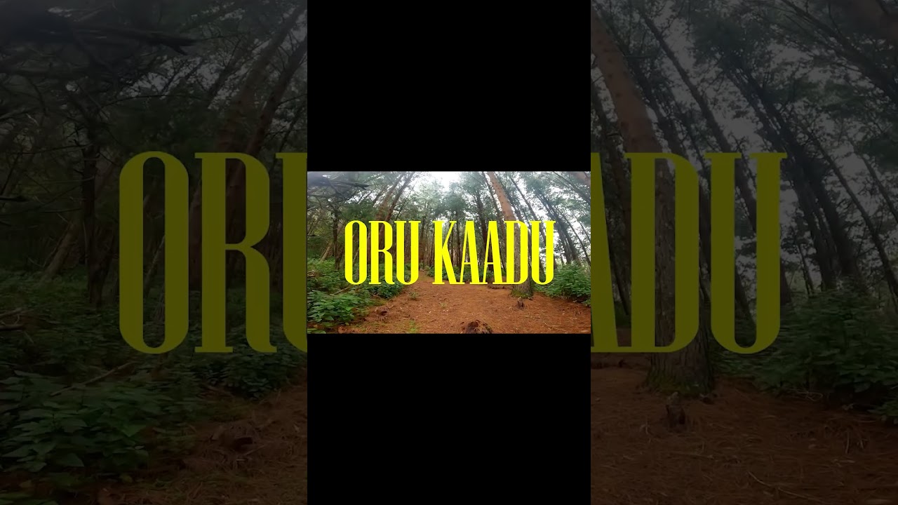 EP 2 Escape Route | Munnar to Kodaikanal | 16 Kilometer through Forest | #nature #trek #escaperoute