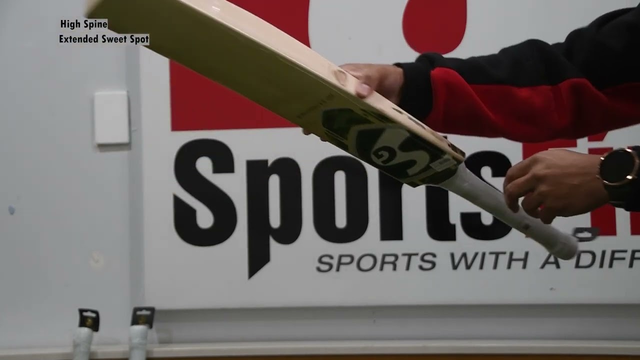 SG HP 33 Premier cricket bat