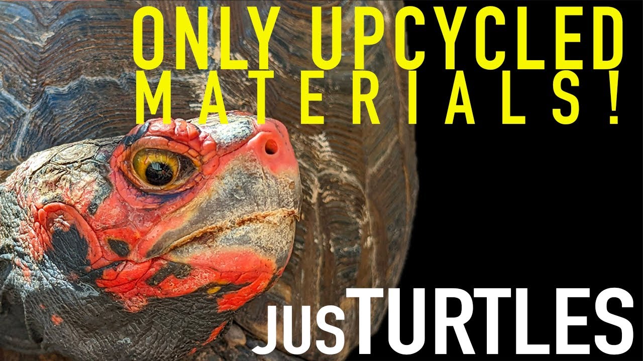 Emotional Tour of a Turtle Farm Built from Recycled Materials