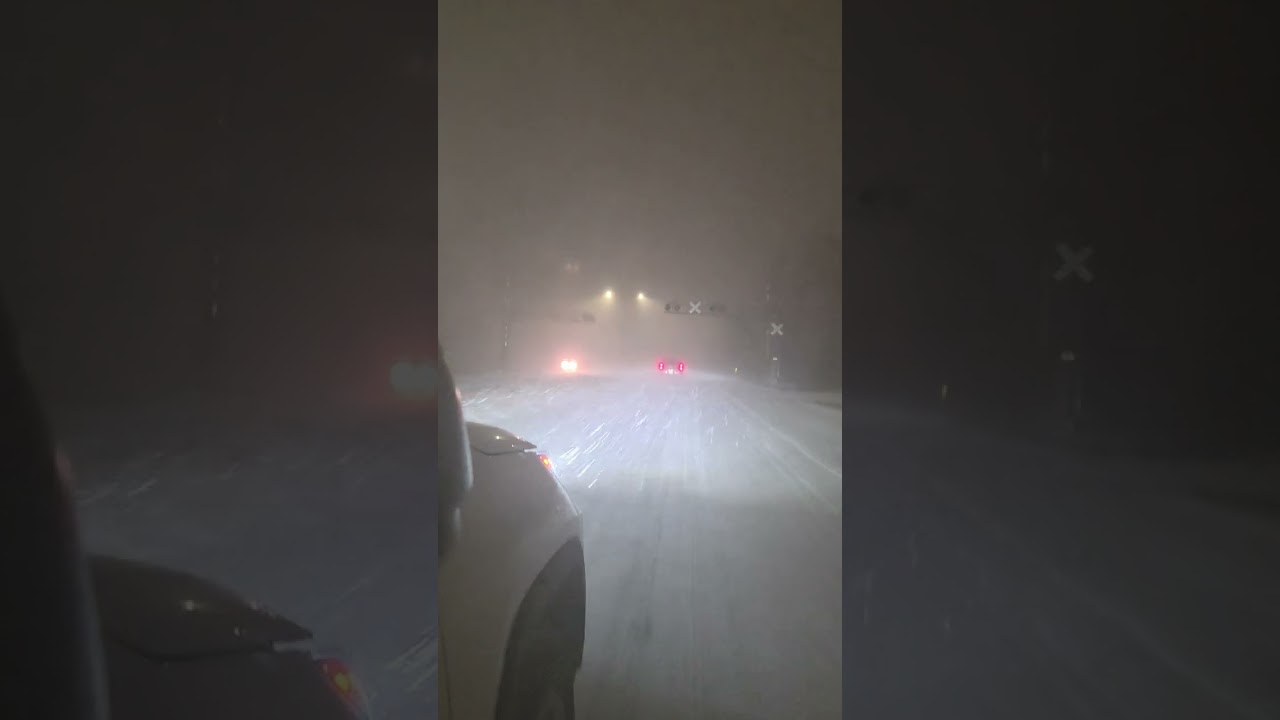 Snowfall covers Elizabeth City, NC in coastal storm
