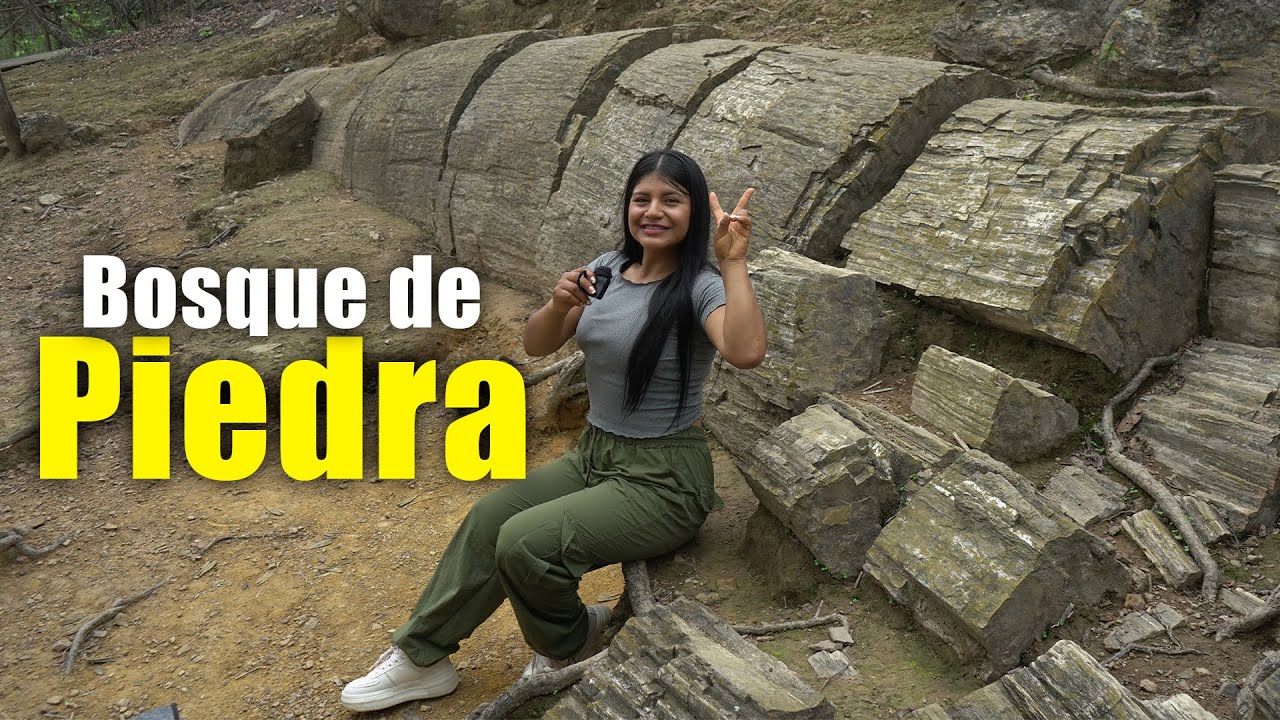 Árboles de Piedra en el Bosque Petrificado de Puyango