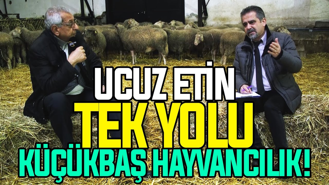 Ucuz Etin Tek Yolu Küçükbaş Hayvancılık!