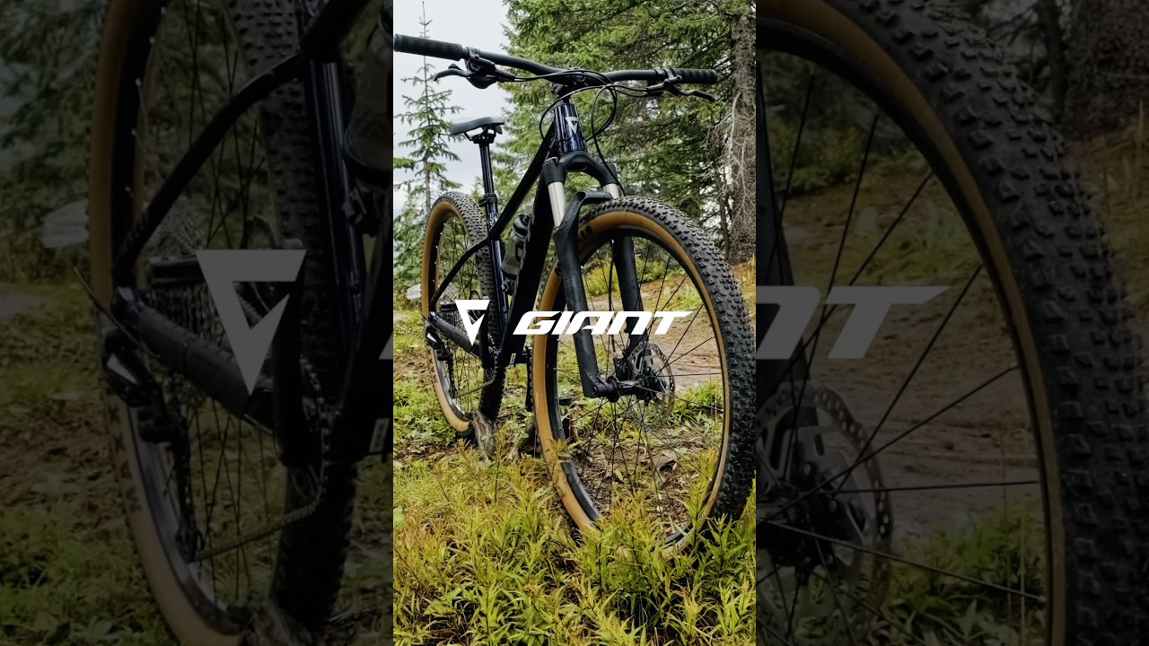 Nouveau VTT Giant Talon : le 1er VTT idéal 😎🔥 