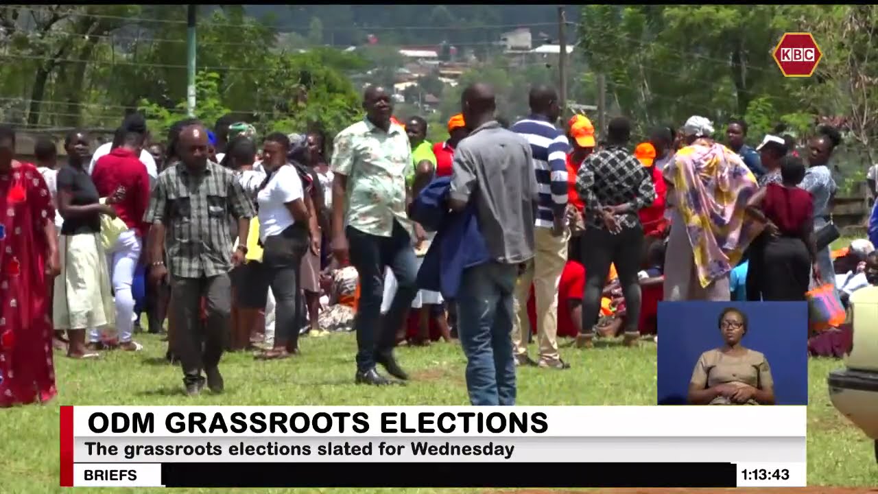 ODM grassroots elections in Western and Nyanza turn chaotic