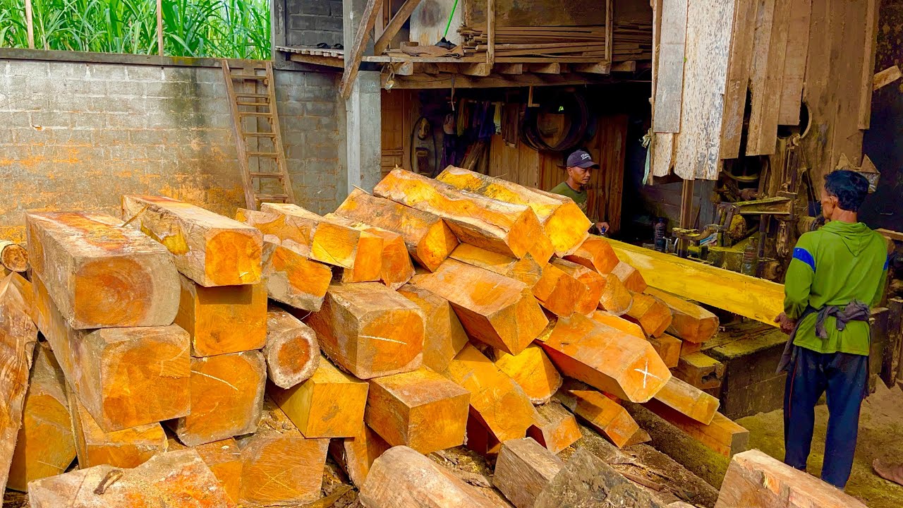 BARDZO PRECYZYJNIE!! Zobacz, jak operatorzy tartaku pracują podczas cięcia stos&oacute;w belek z drewna jackfruit