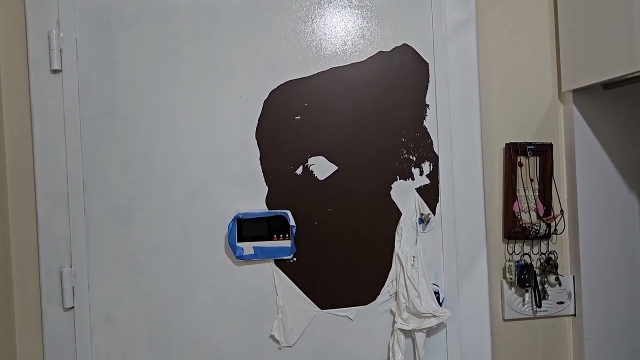 FİLLİ BOYA AQUALUX  İLE ÇELİK KAPIMIZI BOYADIK BAŞIMIZA NELER GELDİ NELER...