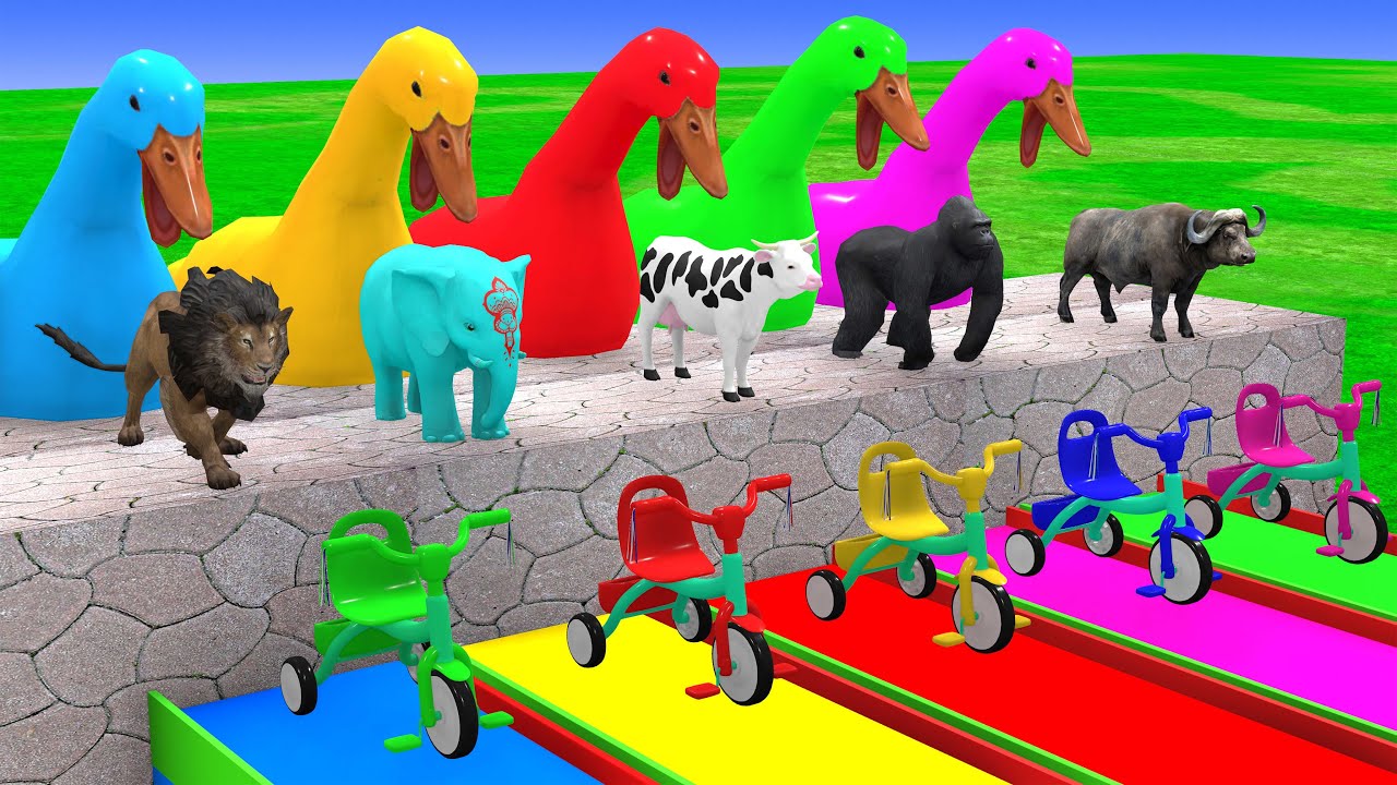 Long Slide Game With Cow Elephant Gorilla Hippopotamus Tiger 3d Animal Game Funny 3d Animals