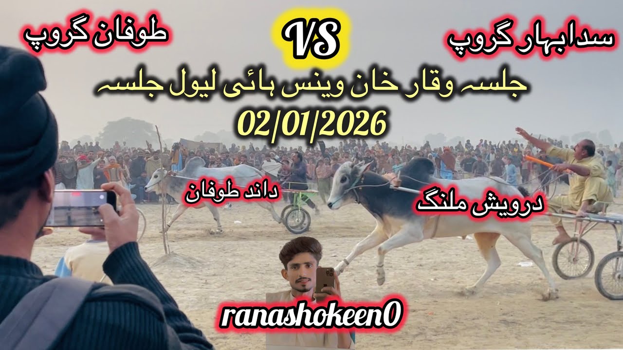 New bull race in 2 January 2026 high level races جلسہ ضلع میلسی ملک وین بہت ہی خوبصورت جلسہ
