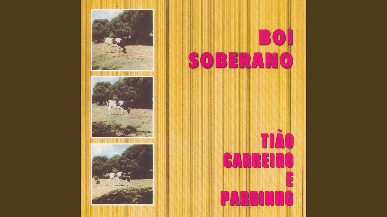 Teu nome tem sete letras