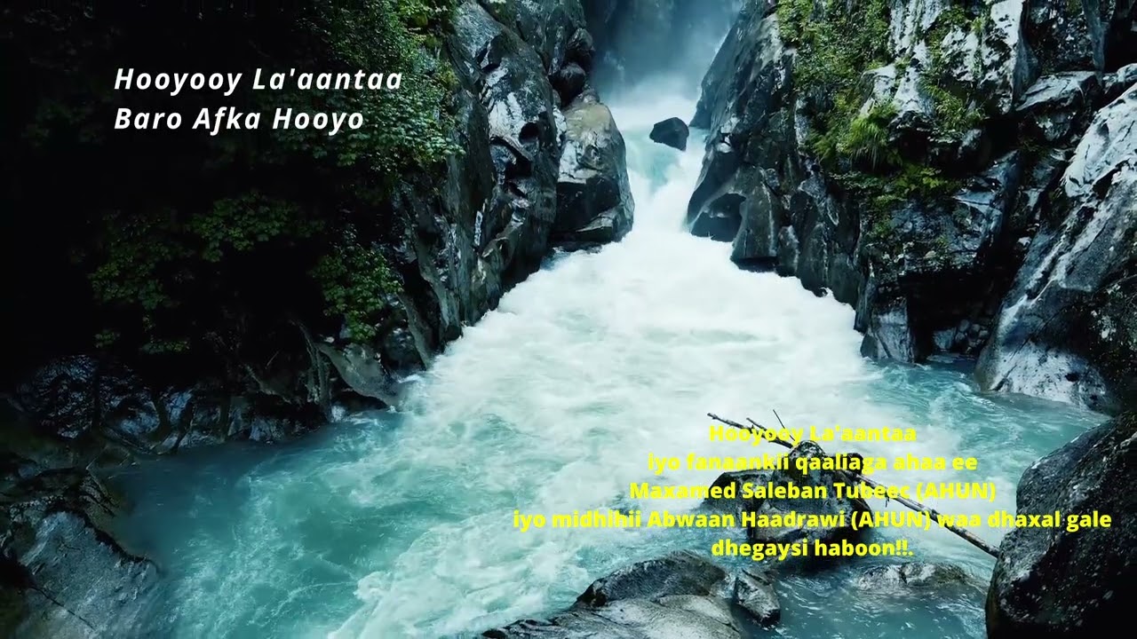 Hooyooy la'aantaa | Maxamed Saleban Tubeec (AHUN)| Hees Qaraami ah!!!