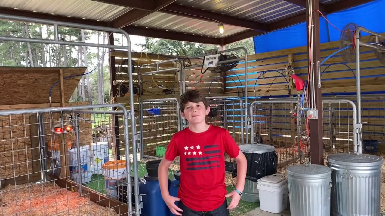 Show Lamb Care and a new addition to the barn